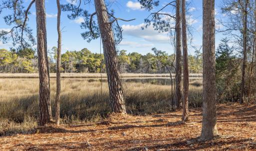 6-web-or-mls-1S3A7444