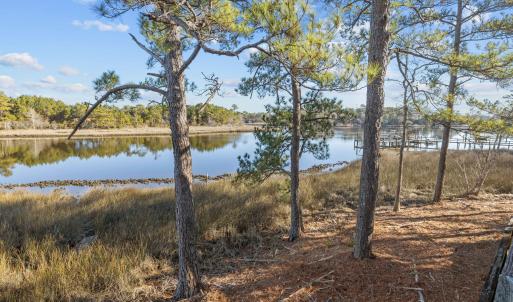 10-web-or-mls-1S3A7474