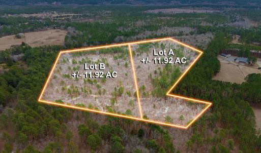 4-web-or-mls-DJI_20260117110931_0012_D-L