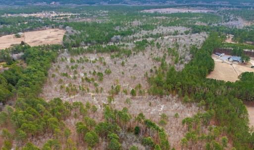 12-web-or-mls-DJI_20260117110931_0012_D