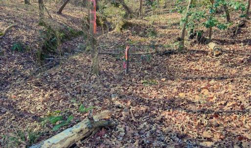 32. SW Corner Property Stake