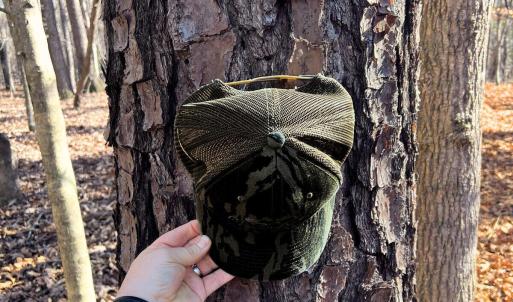 13. Ground Photo Pine Tree - MLS