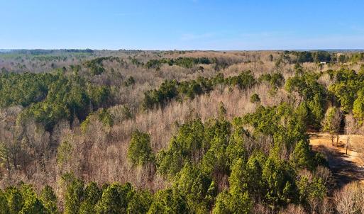 19. Drone Photo
