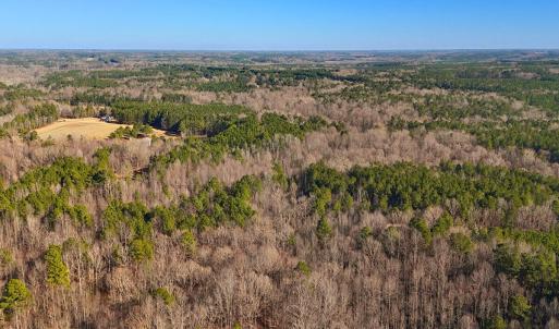 11. Drone Photo