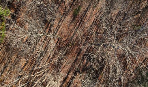 20. Drone Photo