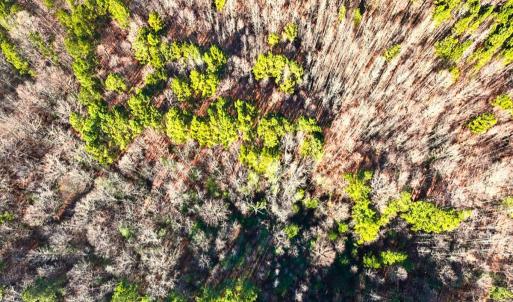 36. Drone Photo