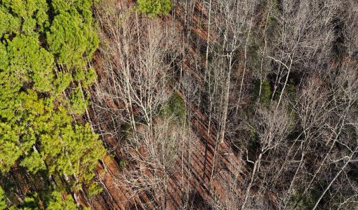 9. Drone Photo