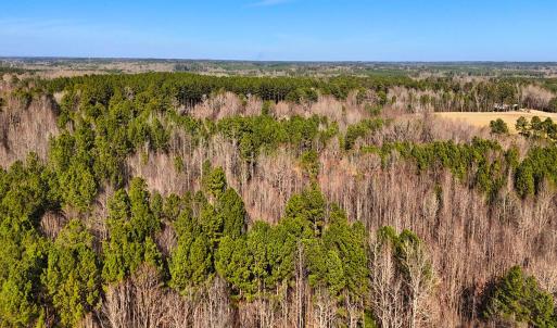 28. Drone Photo