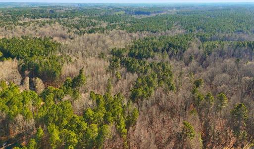 6. Drone Photo