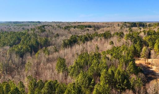 19. Drone Photo