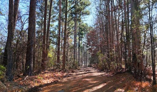 5. Ground Photo Driveway
