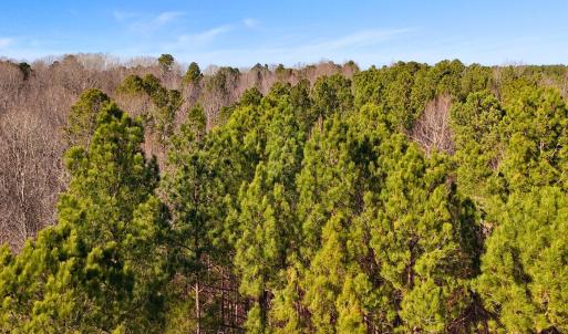 12. Drone Photo