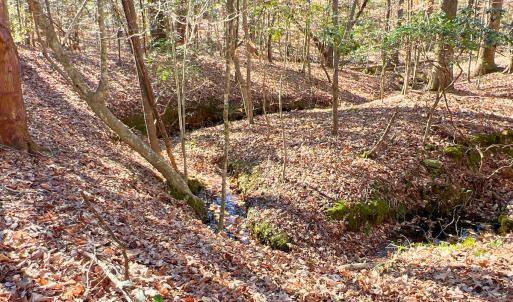 23. Ground Photo Seasonal Creek