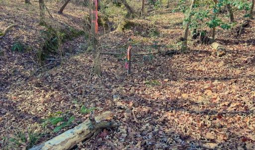 32. SW Corner Property Stake