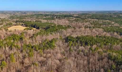 11. Drone Photo