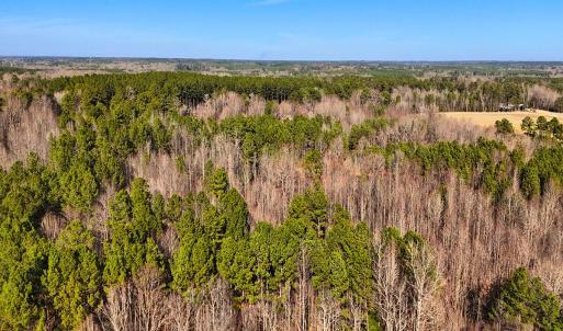28. Drone Photo