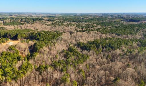 10. Drone Photo