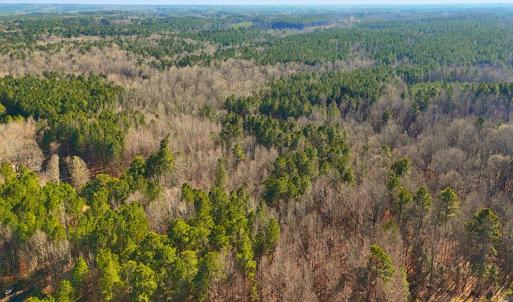 6. Drone Photo