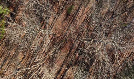 20. Drone Photo