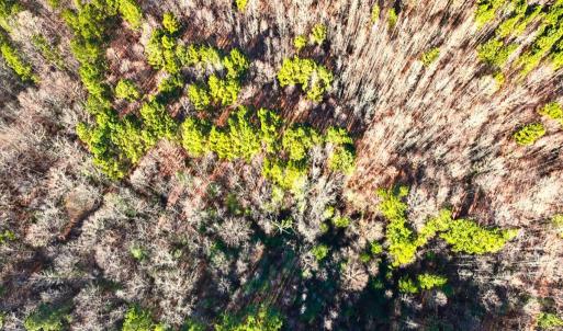 36. Drone Photo