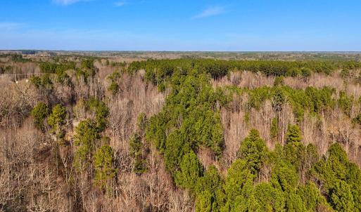 27. Drone Photo