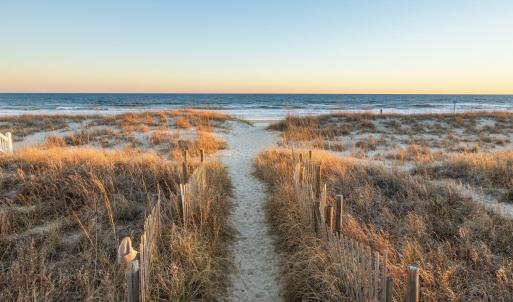 6-web-or-mls-1S3A0465