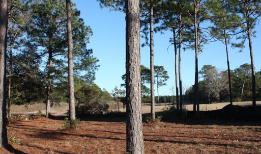 Homesite on Tiger's Eye