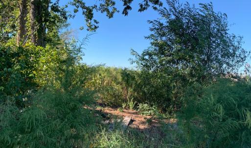 45 Acre Cut Over Old Log Deck