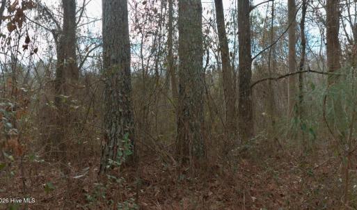 Screenshot 2026-01-20 at 8.40.29PM