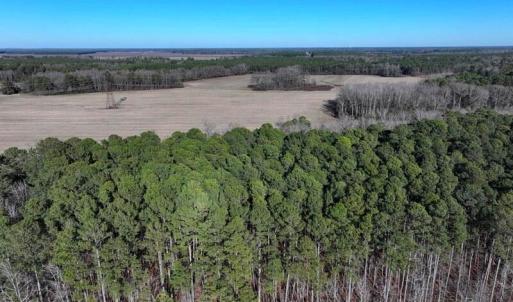 DJI_20260110074645_0708_D