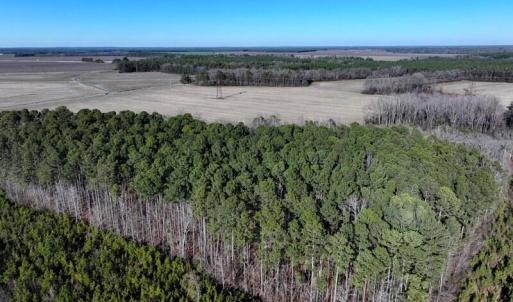 DJI_20260110074716_0710_D