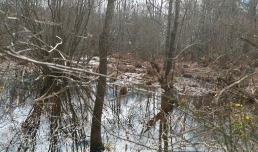 Screenshot 2026-01-20 at 8.41.14PM