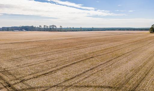 DJI_20260122111241_0062_D