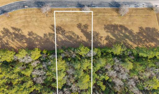 17-web-or-mls-chadwick-visuals-109-bare-