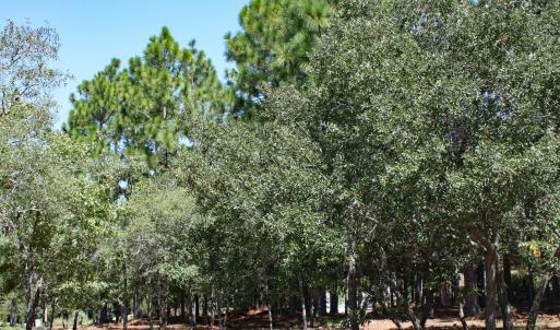 Stirling Hills Homesite on Kirkwall