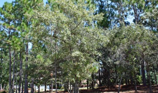 6452 Kirkwall Corner Property