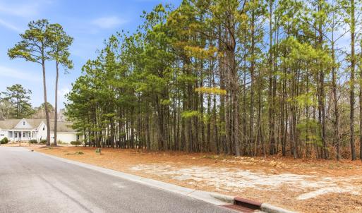 010_3772_silver_melon_road-03_611