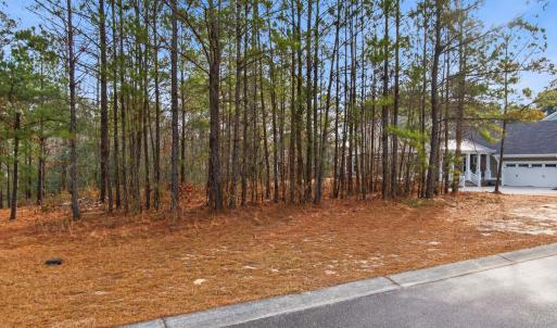 012_3772_silver_melon_road-05_619