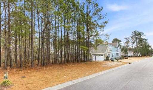 009_3772_silver_melon_road-02_242