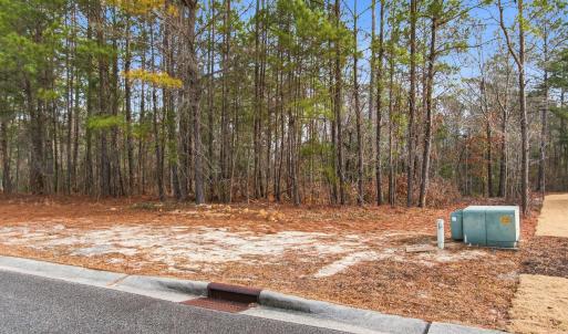 011_3772_silver_melon_road-04_223