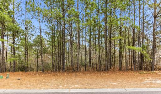 008_3772_silver_melon_road-01_618