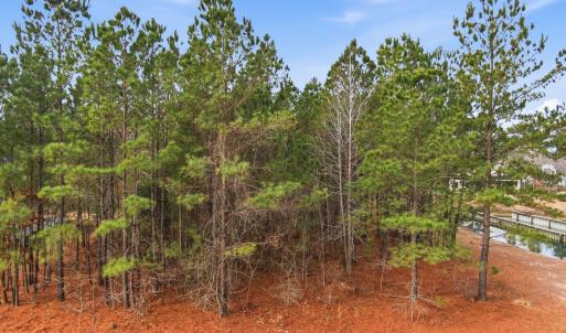 025_3772_silver_melon_road-18_413