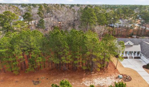 013_3772_silver_melon_road-06_49