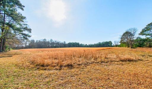 cleared acreage