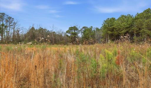 21-E Fatetteville St-21