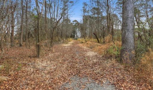 16-E Fatetteville St-16