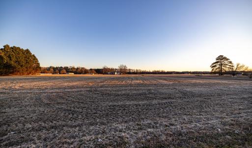 HN9A6379_pro_2550x1667