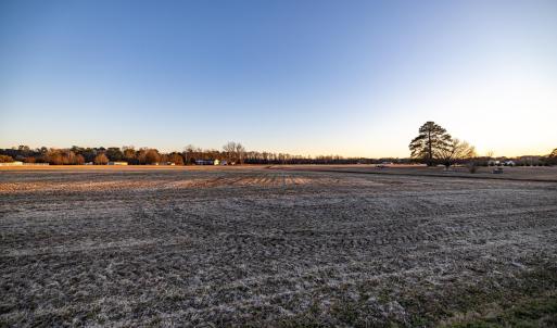 HN9A6381_pro_2550x1667