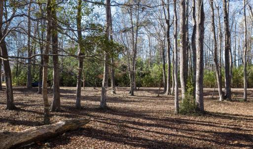 17 Redd Banks Ln MLS-20