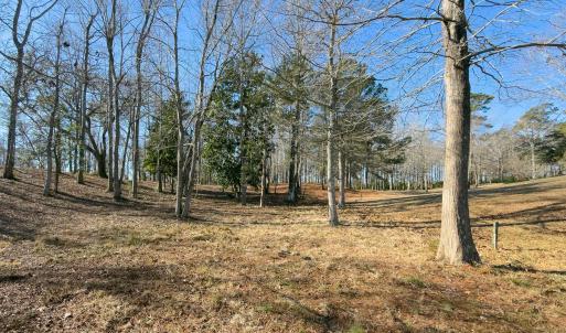 17 Redd Banks Ln MLS-47